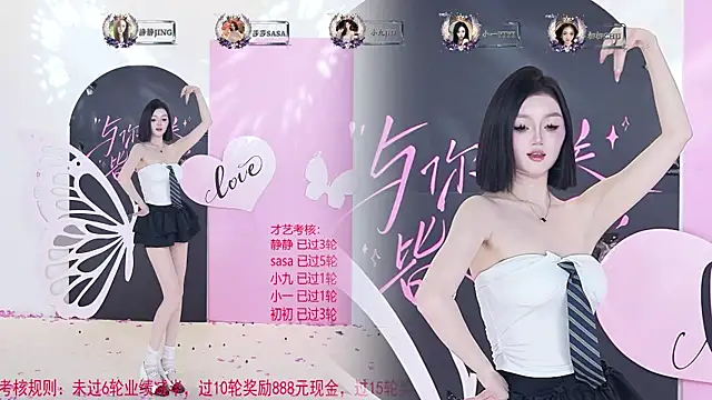 TY-002 webcam
