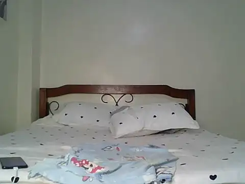 Shi_Assy webcam
