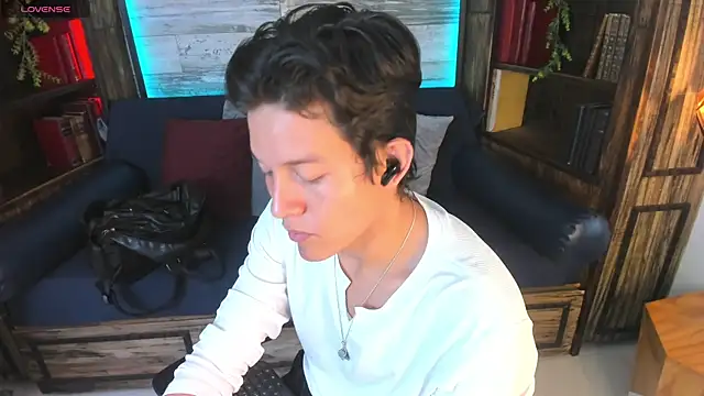 LevinFox webcam