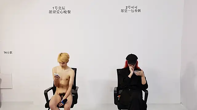 YinLi-Boy webcam
