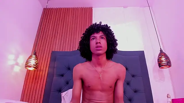 Johan_gz_ webcam