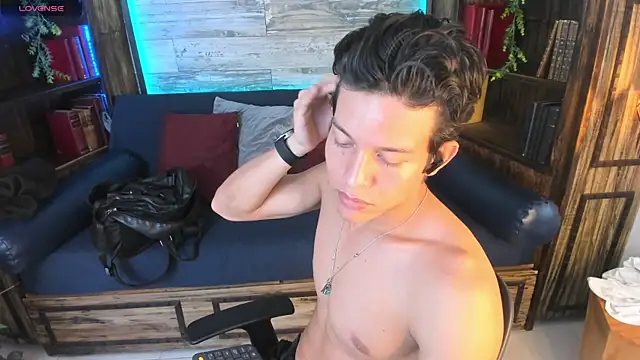 LevinFox webcam