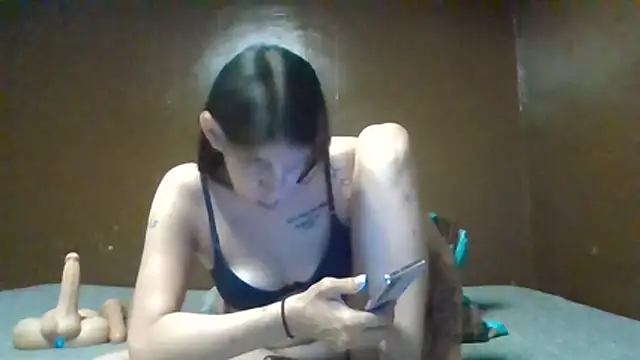 Heavenskyyee webcam