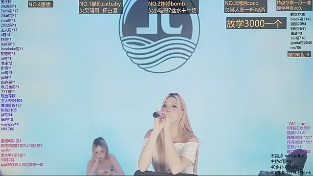 Sw-001 webcam