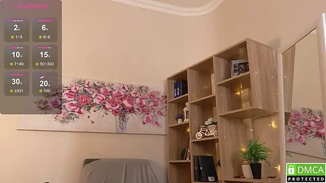 Sue_Sanders webcam