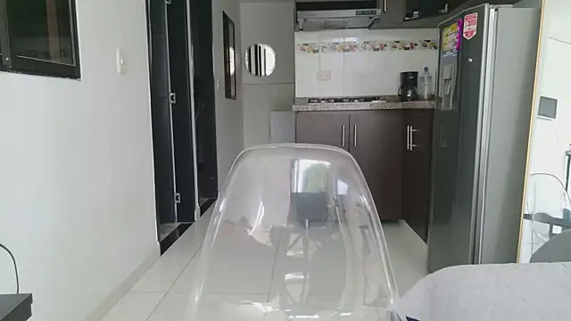 grey___27 webcam