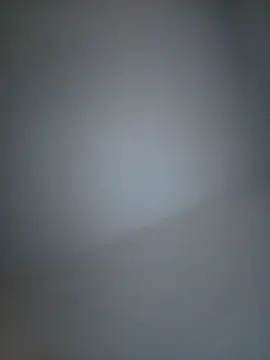 Lidia3590 webcam