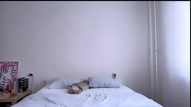 Milky___Way webcam