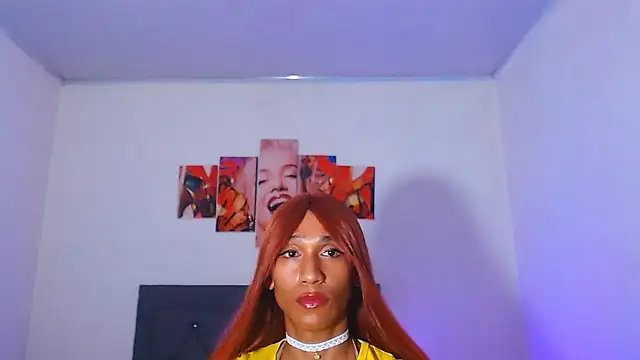 red_veltet webcam