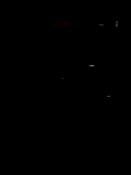 BLACK_BIGDICK8INCH webcam