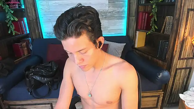 LevinFox webcam