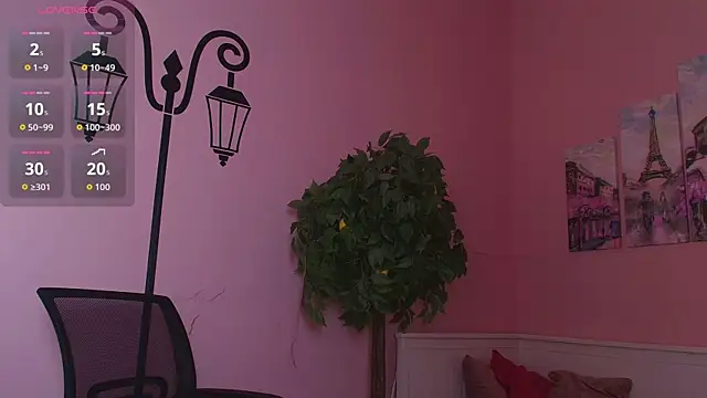Inari_Okami_ webcam