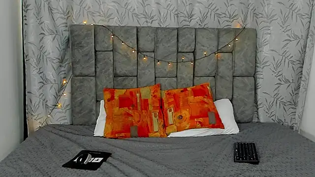 Dantekent webcam