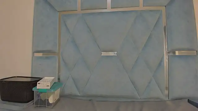 Lucy_asm webcam