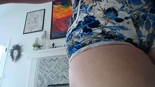 AuroraWillows webcam