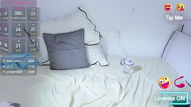 Dollar-2 webcam