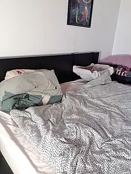 HardSwedee webcam