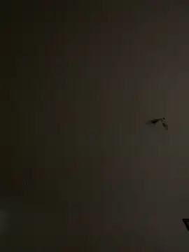 crisfootlicker webcam