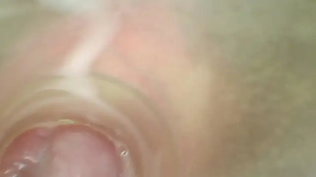 shannon_kinne_ webcam