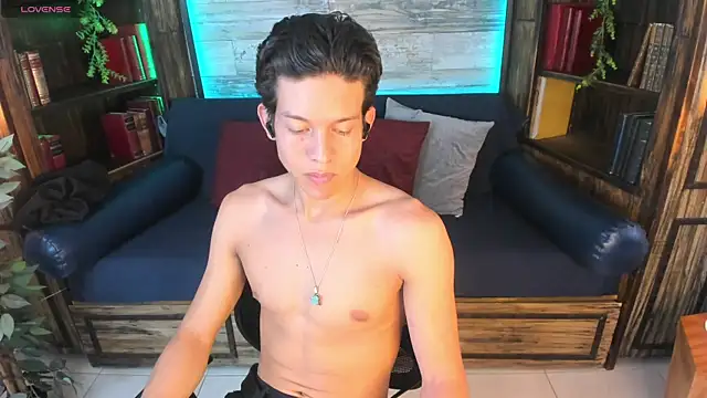 LevinFox webcam