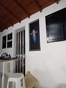 SilvaBranko webcam