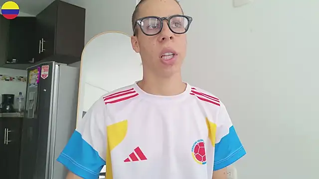 grey___27 webcam