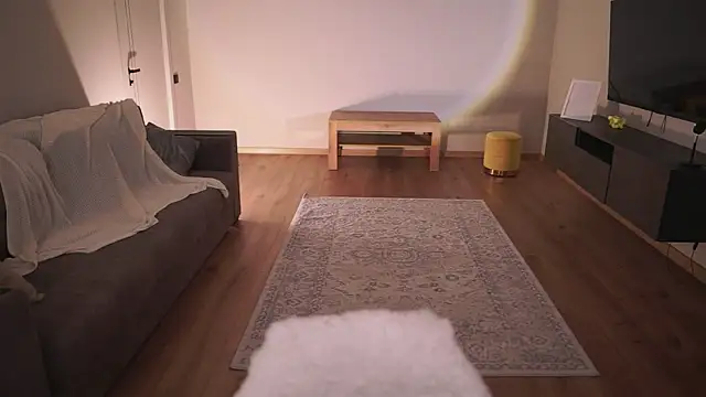 AdaBell webcam