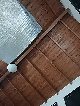 SilvaBranko webcam