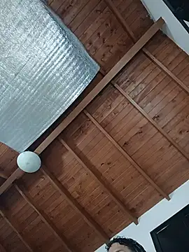 SilvaBranko webcam
