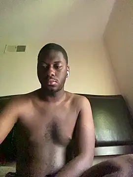 ThickDic28 webcam