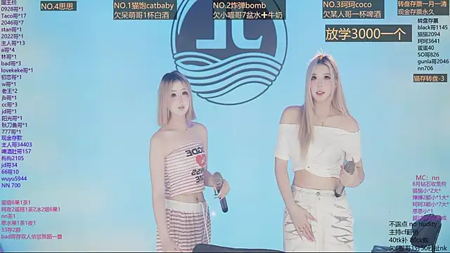 Sw-001 webcam
