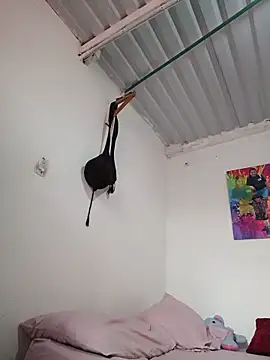 Bigassmommy_x webcam