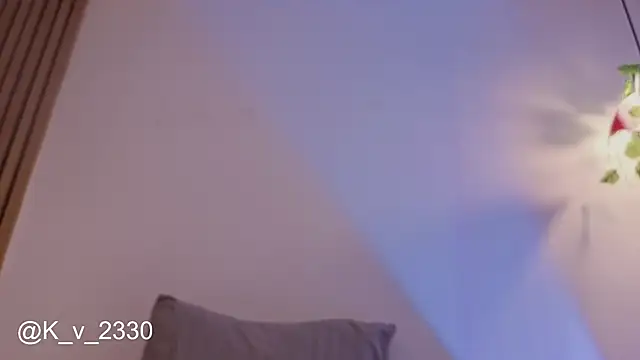 sofiesoft webcam