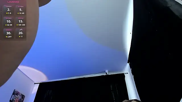 ZoeBlue6 webcam