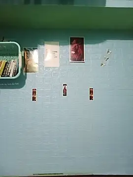 pyaari_tara webcam