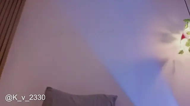 sofiesoft webcam