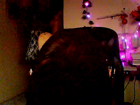 Anaconda2350 webcam