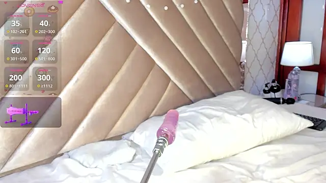 KaelSoft_ webcam