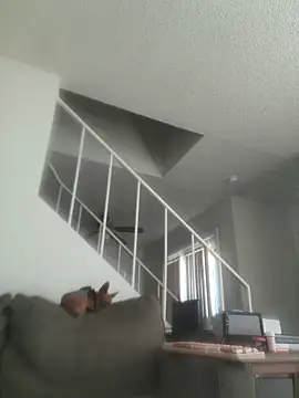 yourMasterisBored webcam