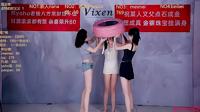 MG_068 webcam