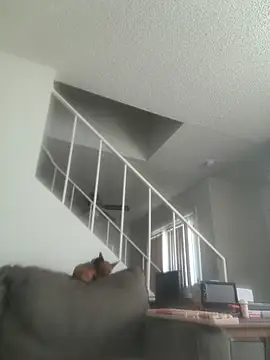 yourMasterisBored webcam