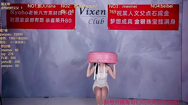 MG_068 webcam