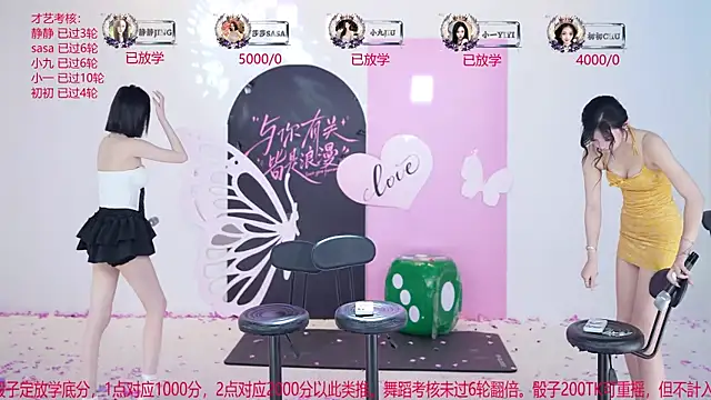 TY-002 webcam