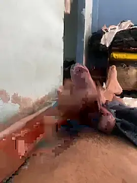 greck19 webcam