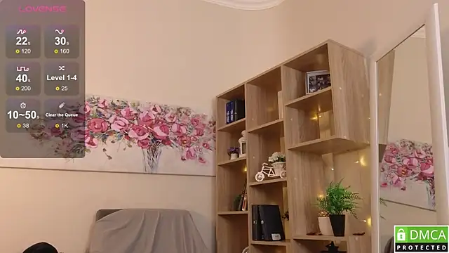 Sue_Sanders webcam