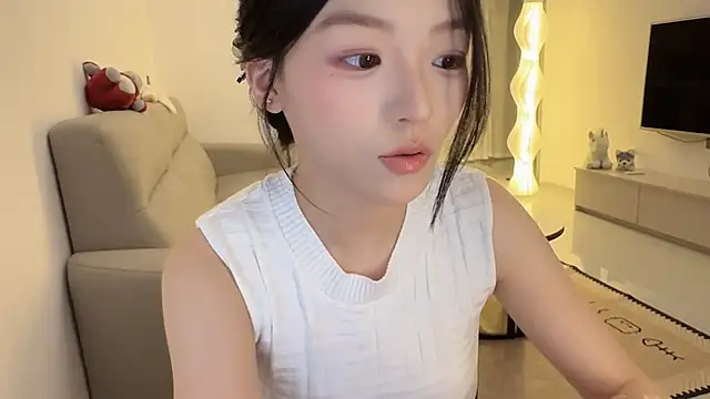Robin-o3 webcam