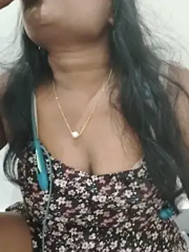 SA-K-SHI webcam