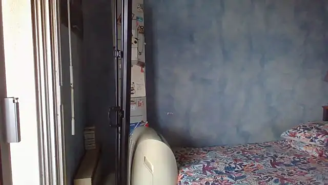 panda_06200 webcam