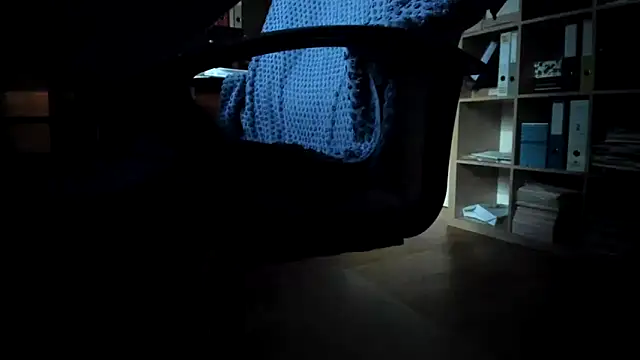 leccaleccafiga webcam