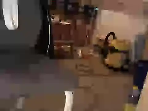 celsior45 webcam